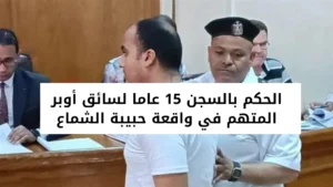 الحكم بالسجن 15 عاما لسائق أوبر المتهم في واقعة حبيبة الشماع
