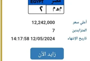 بقيمة متزايدة .. الداخلية تطرح لوحة معدنية 12 مليون جنيه