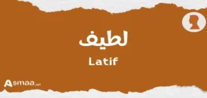 لا تكن لطيفا أكثر من اللازم بقلم دكتور/ محمد بغدادي