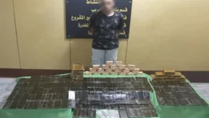 مباحث الجيزة .. ضبط عاطل بحوزته 30 كيلو حشيش بالجيزة