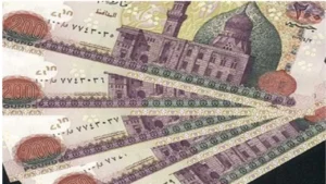 موعد صرف تكافل وكرامة لشهر يونيو 2024