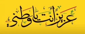 وطــنــي بقلم : أمير الألفي