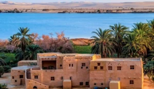 اسماء الفائزين في مبادرة ( سيوة احلي)