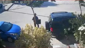 حبس والد عضو بمجلس النواب لشروعه في قتل جاره بسبب الكلاب الضالة بأكتوبر