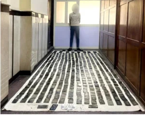 قيمتها ـ5.5 مليون جنيه.. القبض على عنصرين إجراميين بتهمة الإتجار في المخدرات بالإسكندرية