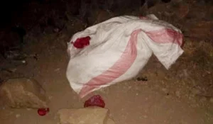 لقوها في شوال وبها آثار اغتصاب.. تفاصيل العثور على جثة سجدة بعد تغيبها عن المنزل بالقاهرة
