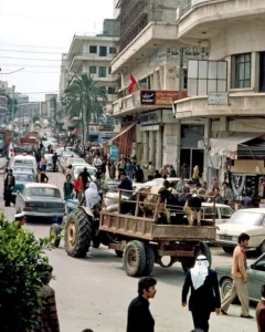 أيقونة أحمد زكي يكتب عودة الجنوبيين: مشهد يعيد ذاكرة عام 1978 في جنوب لبنان