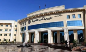 القبض على بلوجر بتهمة بث فيديو تسول واستغلال مريضة بـ15 مايو