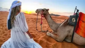 جمل يعض سائحة أمريكية داخل مدرسة بسقارة