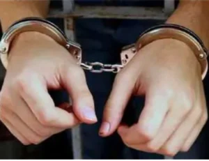 القبض علي شخص يروج لبيع شهادات دراسية علي مواقع التواصل الاجتماعي