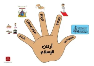 أيقونة تعرف علي فوائد الزكاة في الدنيا والآخرة