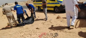 صرع 3 أطفال وإصابة 6 آخرين في حادث انقلاب سيارة ربع نقل بالصحراوي الغربي بأسيوط•
